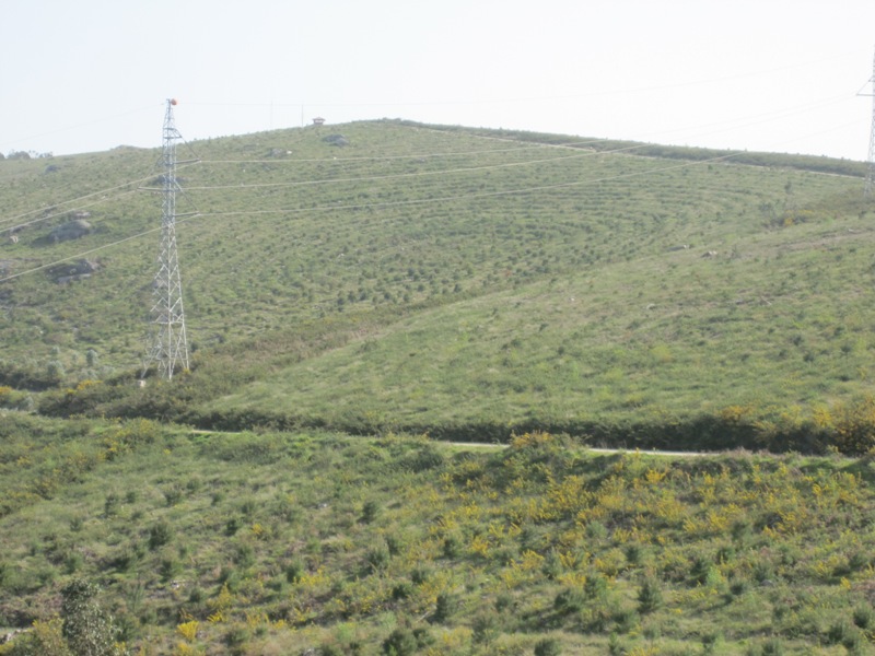 Parcela