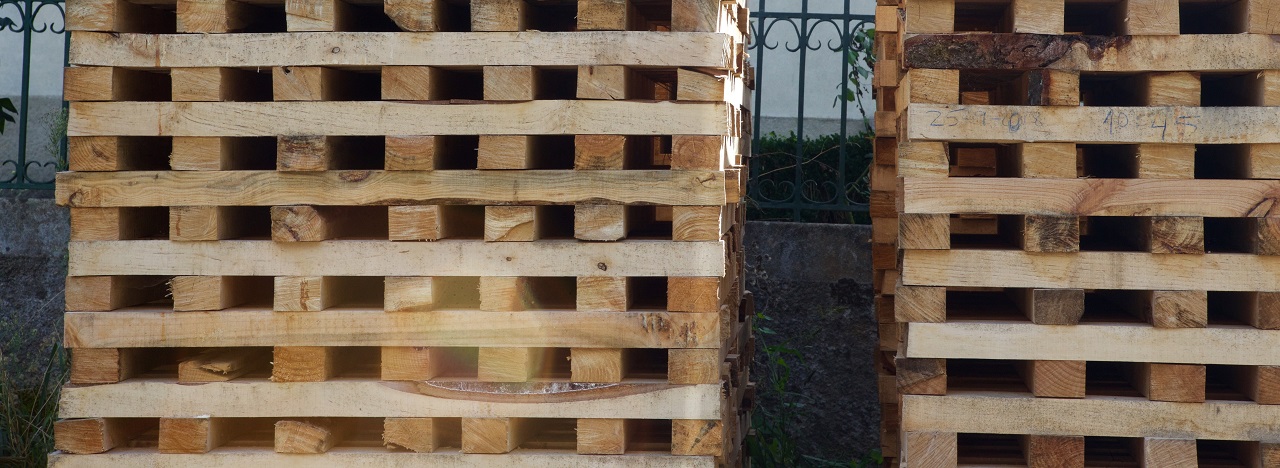 Tecnologias forestales