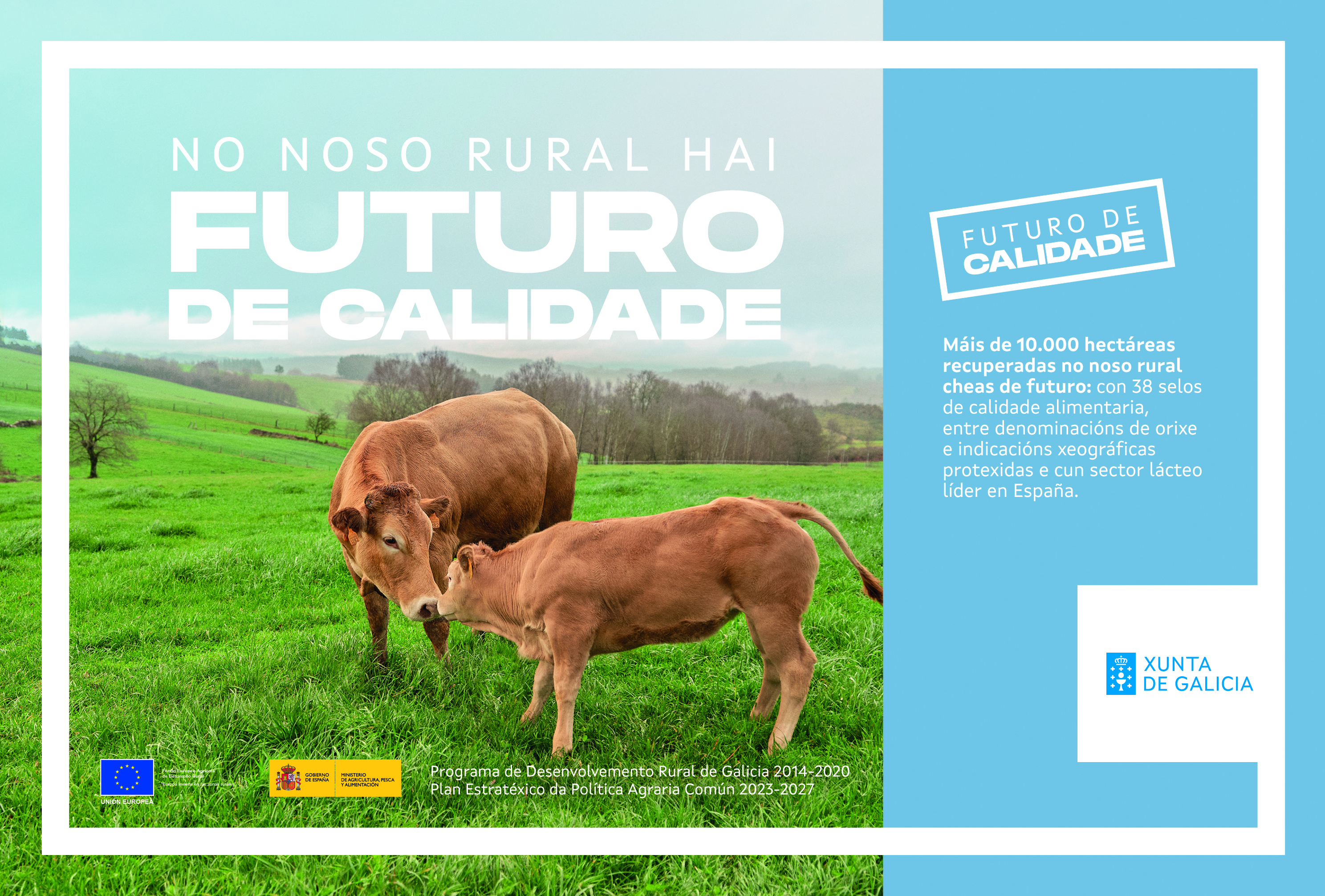 O rural e moito